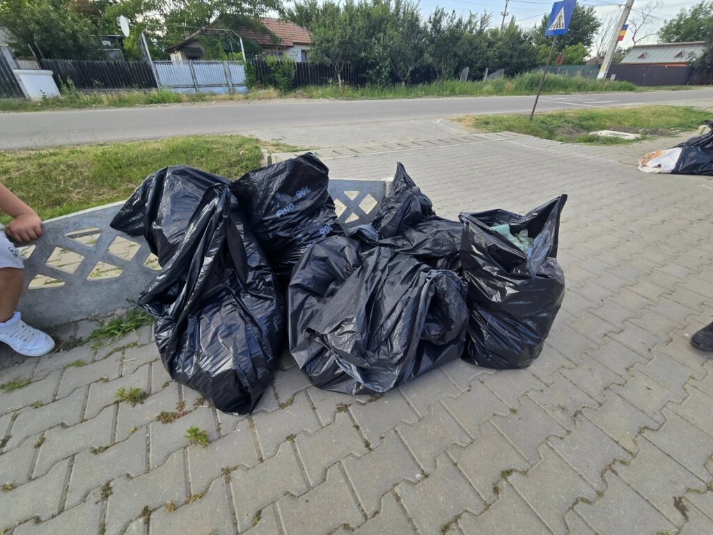 Educație pentru mediu și spirit civic: acțiune de ecologizare la Ulmeni cu sprijinul primarului Andrei Oprina
