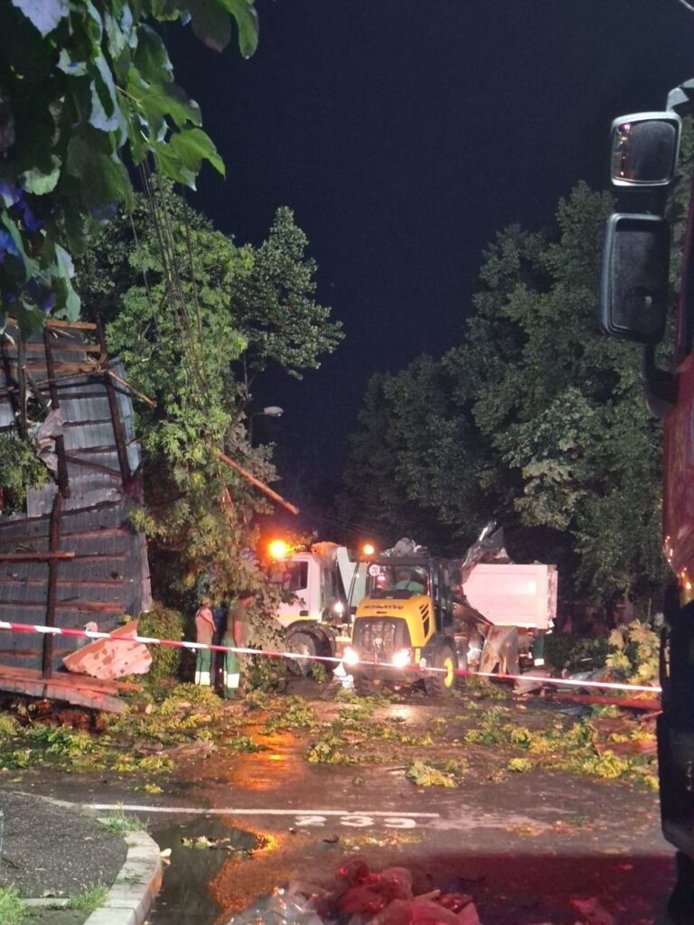 Peste 80 de copaci doborâți de vremea rea în județul Buzău. Aproape 490 de apeluri la 112, gestionate de ISU Buzău