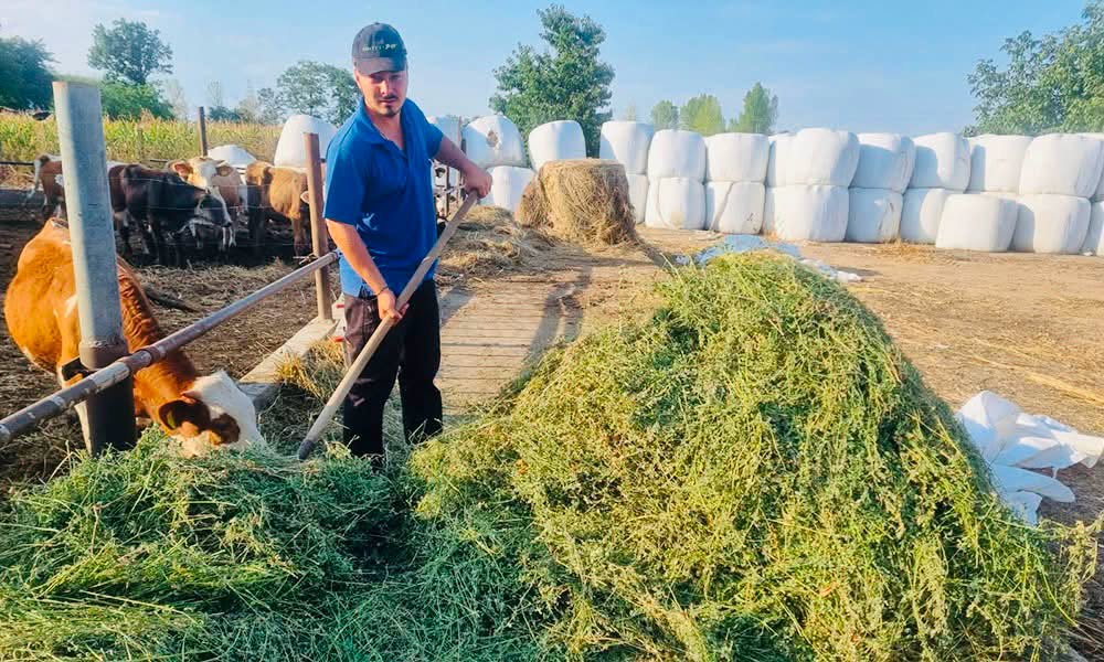 Oana Matache: Sprijin urgent pentru fermierii români. Pachet de ajutor pentru zootehnie, votat în Camera Deputaților Oana Matache: Sprijin urgent pentru fermierii români. Pachet de ajutor pentru zootehnie, votat în Camera Deputaților