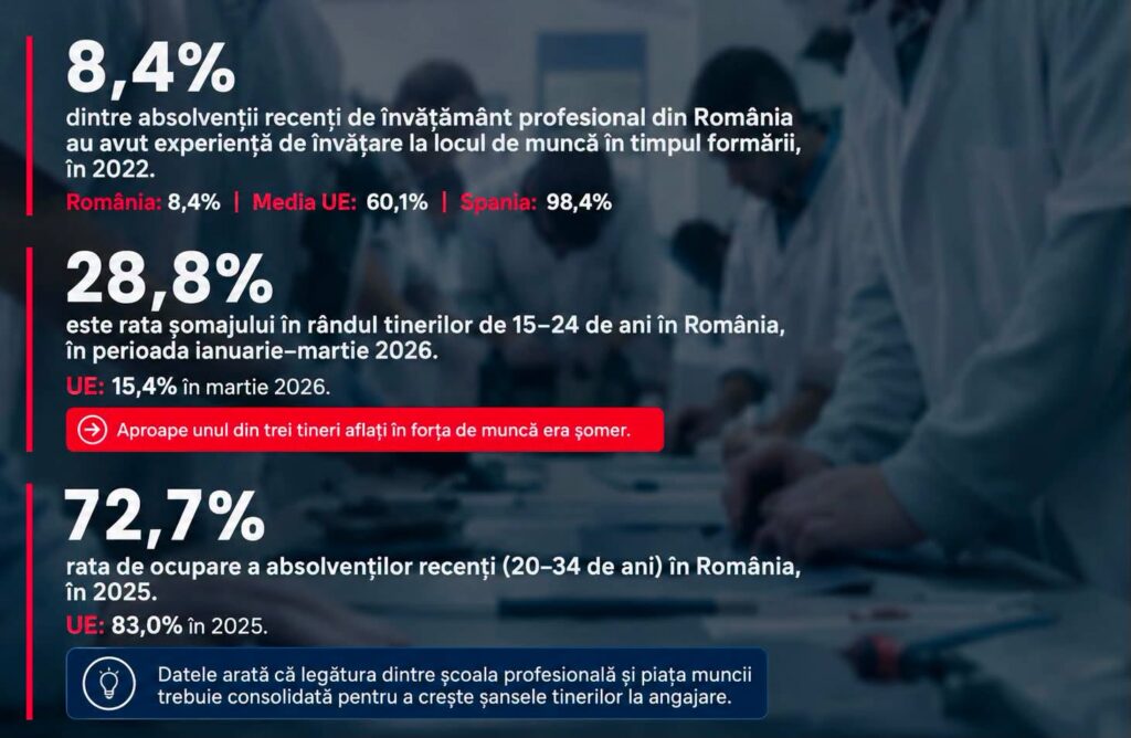 Oana Matache cere date despre parcursul absolvenților de licee tehnice și învățământ dual: „Statul nu știe aproape nimic despre ce se întâmplă cu ei după școală”