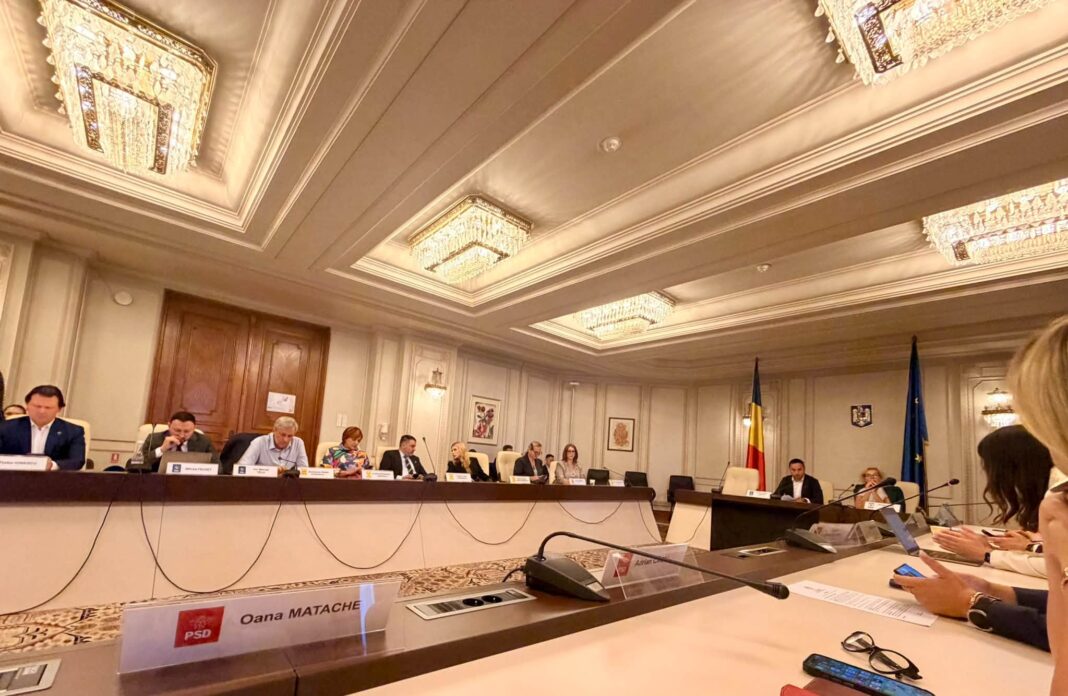 Oana Matache: România trebuie să își apere interesele la Marea Neagră Oana Matache: România trebuie să își apere interesele la Marea Neagră