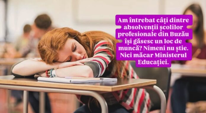 Oana Matache cere date reale despre viitorul absolvenților din învățământul profesional și tehnologic