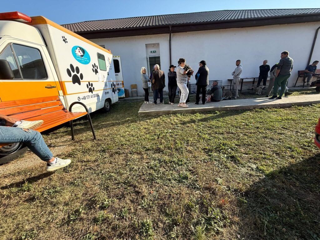 273 de animale sterilizate în Ulmeni. Primăria și primarul Andrei-Valentin Oprina, implicați direct într-o campanie pentru comunitate